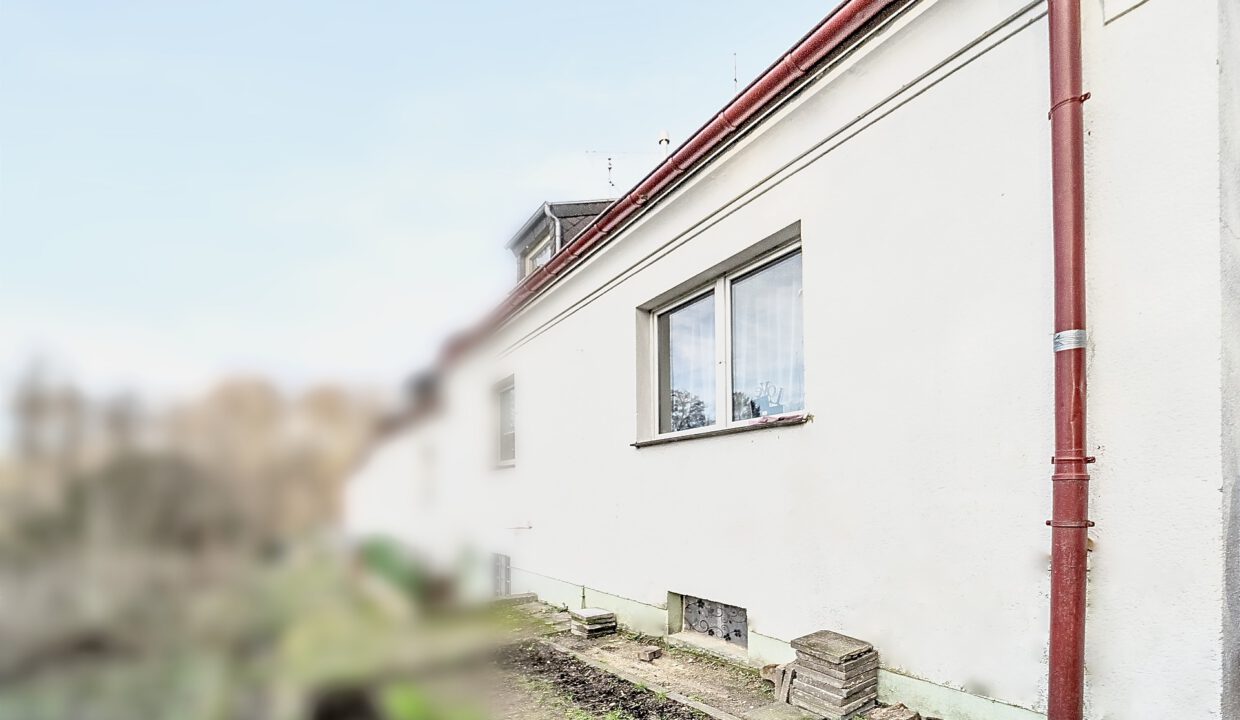 Rückseite