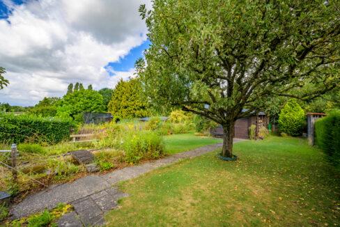 LOD_4016-HDR