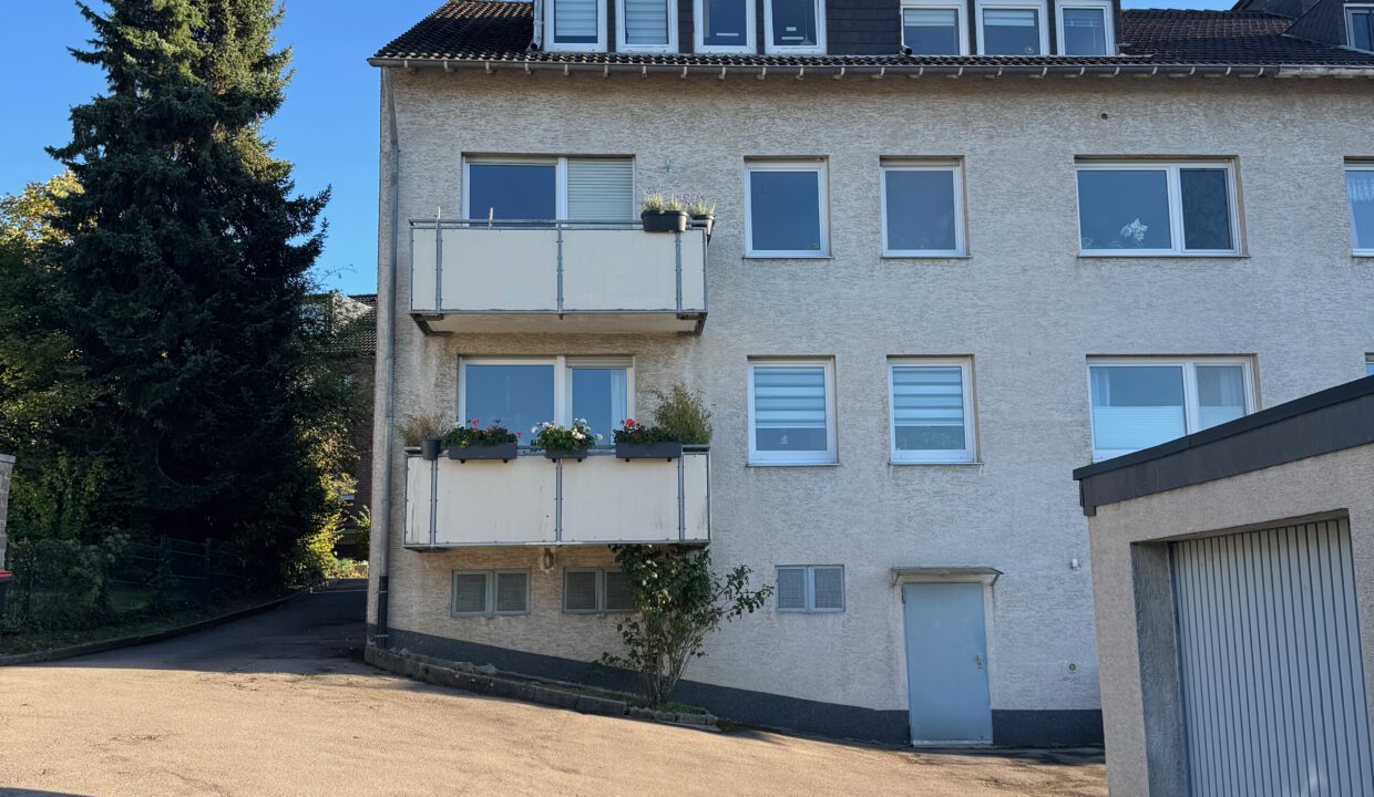 Rückansicht (2)